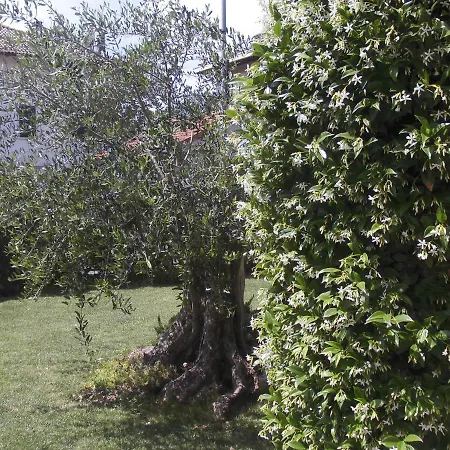 B&B Diele-3
